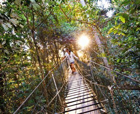 Tree Top Walkway - Hervey Bay Accommodation 0