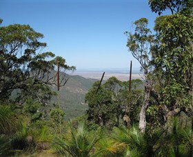 Zamia Walk - Hervey Bay Accommodation 0