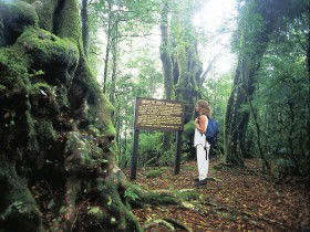 Tooloona Creek Circuit - Hervey Bay Accommodation 0