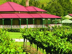 OReillys Canungra Valley Vineyards - Hervey Bay Accommodation 0