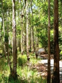 Hallorans Hill - Hervey Bay Accommodation 0