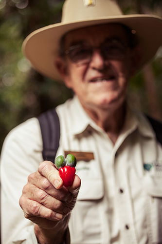 Tondoon Botanic Gardens - Hervey Bay Accommodation 1