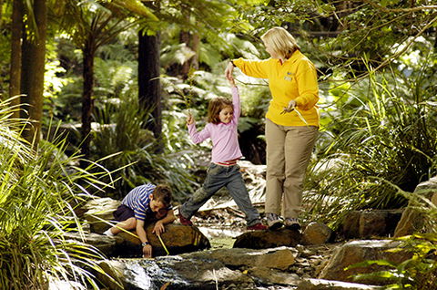 Tondoon Botanic Gardens - Hervey Bay Accommodation 2