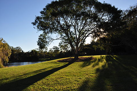Tondoon Botanic Gardens - Hervey Bay Accommodation 4