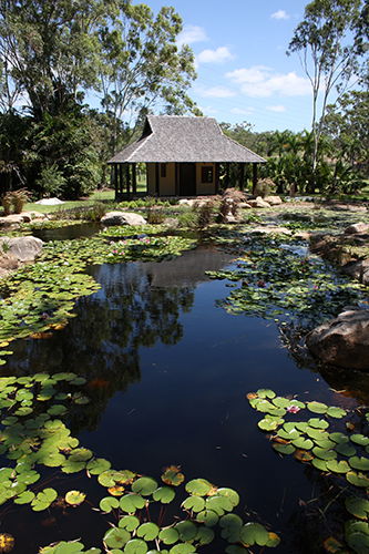 Tondoon Botanic Gardens - Hervey Bay Accommodation 8