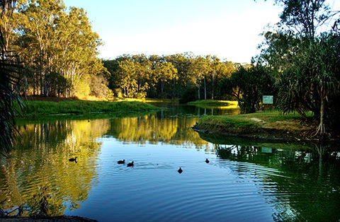 Tondoon Botanic Gardens - Hervey Bay Accommodation 9