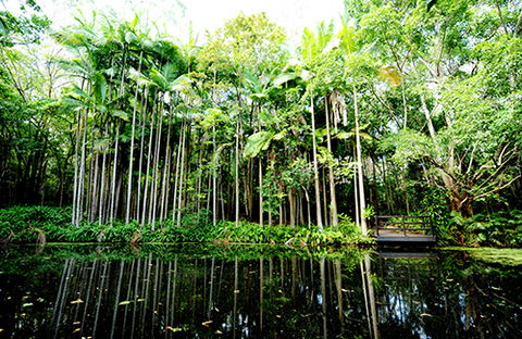 Tondoon Botanic Gardens - Hervey Bay Accommodation 11