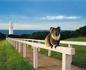 Cape Otway Lightstation - Hervey Bay Accommodation 0
