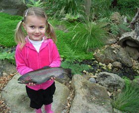 Rhyll VIC Tourism Hervey Bay