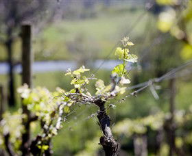 Elan Vineyard And Winery - Hervey Bay Accommodation 0