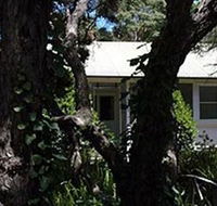 Melaleuca Gallery