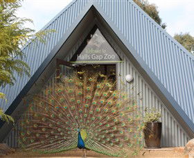 Halls Gap Zoo - Tourism Hervey Bay 0