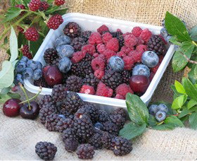 Porepunkah VIC Hervey Bay Accommodation