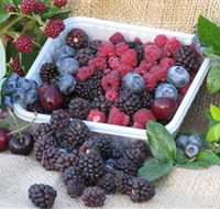 Bright Berry Farms - Hervey Bay Accommodation