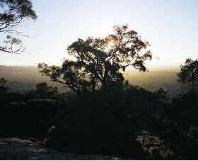 Ivanhoe East VIC Hervey Bay Accommodation