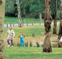 Westerfolds Park - Hervey Bay Accommodation
