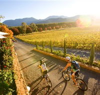 Boyntons Feathertop Winery - Hervey Bay Accommodation