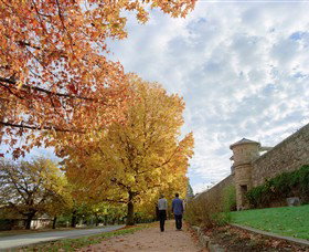 Beechworth Historic Park - Hervey Bay Accommodation 0