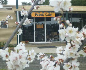 Rayner's Orchard - Tourism Hervey Bay 0