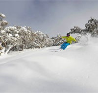 Mt Buller and Mt Stirling Alpine Resort - Hervey Bay Accommodation