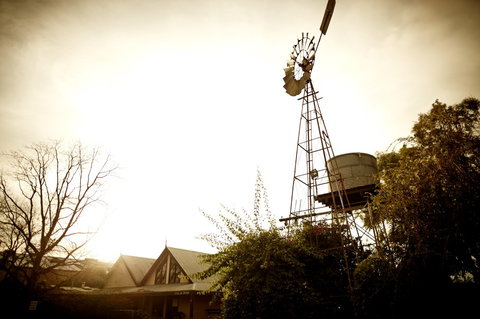 Brown Brothers Milawa Vineyard - Tourism Hervey Bay 1