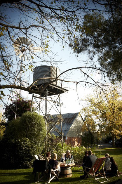 Brown Brothers Milawa Vineyard - Tourism Hervey Bay 5