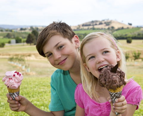 Yarra Valley Chocolaterie & Ice Creamery - Hervey Bay Accommodation 6