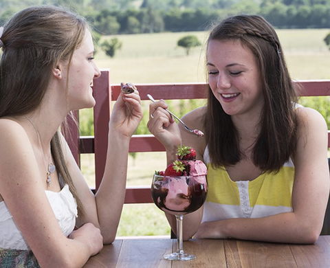 Yarra Valley Chocolaterie & Ice Creamery - Hervey Bay Accommodation 8