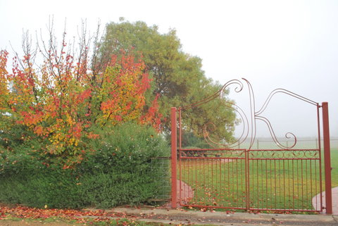 Stanton And Killeen Wines - Hervey Bay Accommodation 4