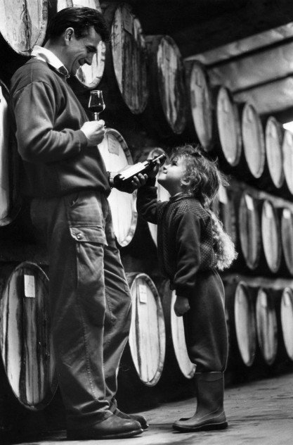 Stanton And Killeen Wines - Hervey Bay Accommodation 11