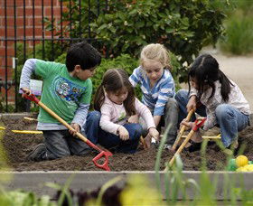 The Ian Potter Foundation Children's Garden - Hervey Bay Accommodation 0