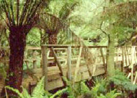 Mount Worth State Park - Tourism Hervey Bay 0