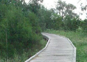 Shepherds Bush - Hervey Bay Accommodation 0