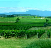Acacia Ridge Vineyard - Hervey Bay Accommodation