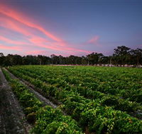 Amherst Winery - Hervey Bay Accommodation