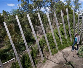 Herring Island Environmental Sculpture Park - Hervey Bay Accommodation 0