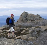 Mount Buffalo National Park - Hervey Bay Accommodation