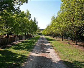 Waybourne Winery - Hervey Bay Accommodation 0
