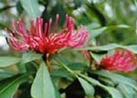 Alfred National Park - Tourism Hervey Bay 0