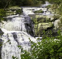 Agnes Falls Scenic Reserve - Hervey Bay Accommodation