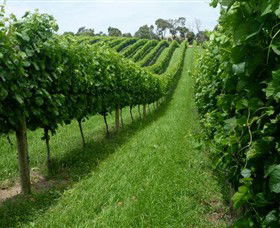 The Cups Estate - Hervey Bay Accommodation 0