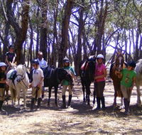 Bellarine Horse Riding Centre - Hervey Bay Accommodation