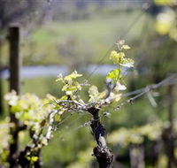 Kyneton Ridge Estate - Hervey Bay Accommodation