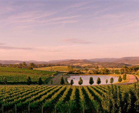 Oakridge Wines - Tourism Hervey Bay 0