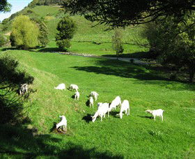 Goats Of Gaia Soap - Hervey Bay Accommodation 0