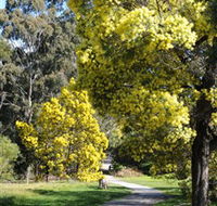 Wattle Park - Hervey Bay Accommodation