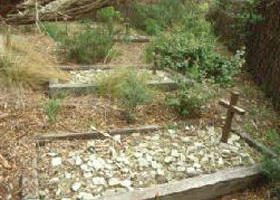 Collins Settlement Historic Site - Hervey Bay Accommodation 0