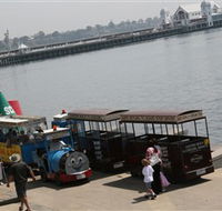 Waterfront Train Tours and Bungy Trampoline - Hervey Bay Accommodation