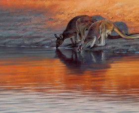 Steve Morvell Wildlife Art - Tourism Hervey Bay 0