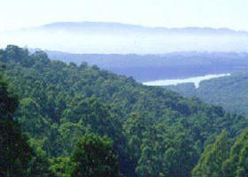  Hervey Bay Accommodation